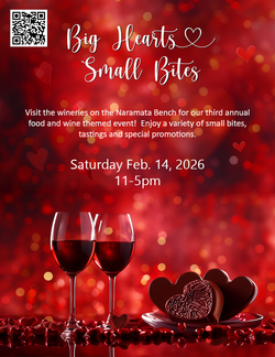 Valentine's Day 6 pack