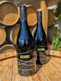 Pinot Noir Day 6 Pack
